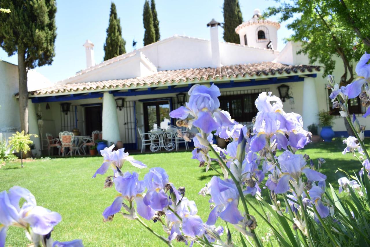 Gasthaus Venta Del Celemin Ossa de Montiel Exterior foto